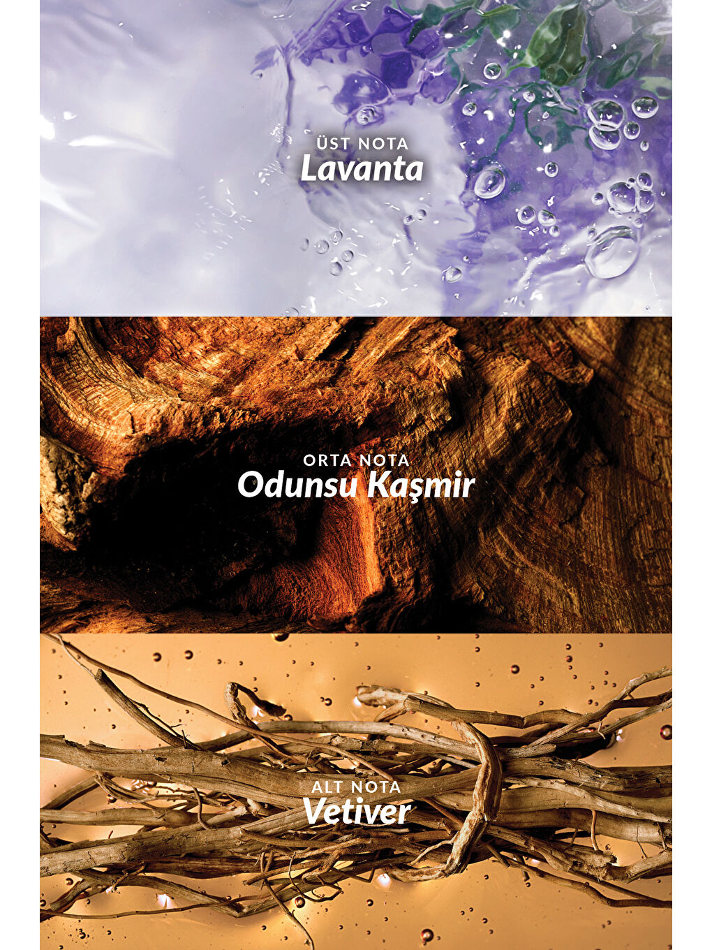 Scent Mix Fizzy Green Tea Kadın ve Masculine Woody Erkek Parfüm Paketi-4