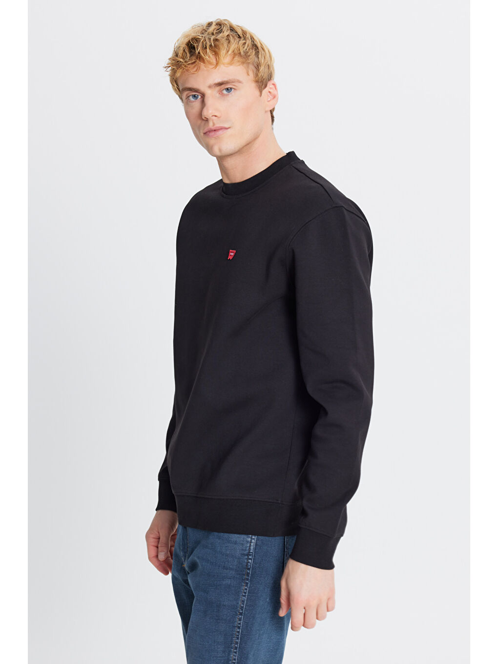 Regular Fit Normal Kesim Bisiklet Yaka Pamuklu Siyah Sweatshirt-2