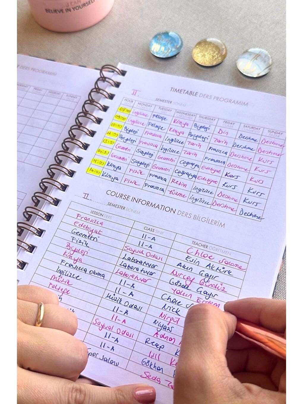 Akademik Ajanda 17x24 cm Spiralli 25/26 Botanical-5