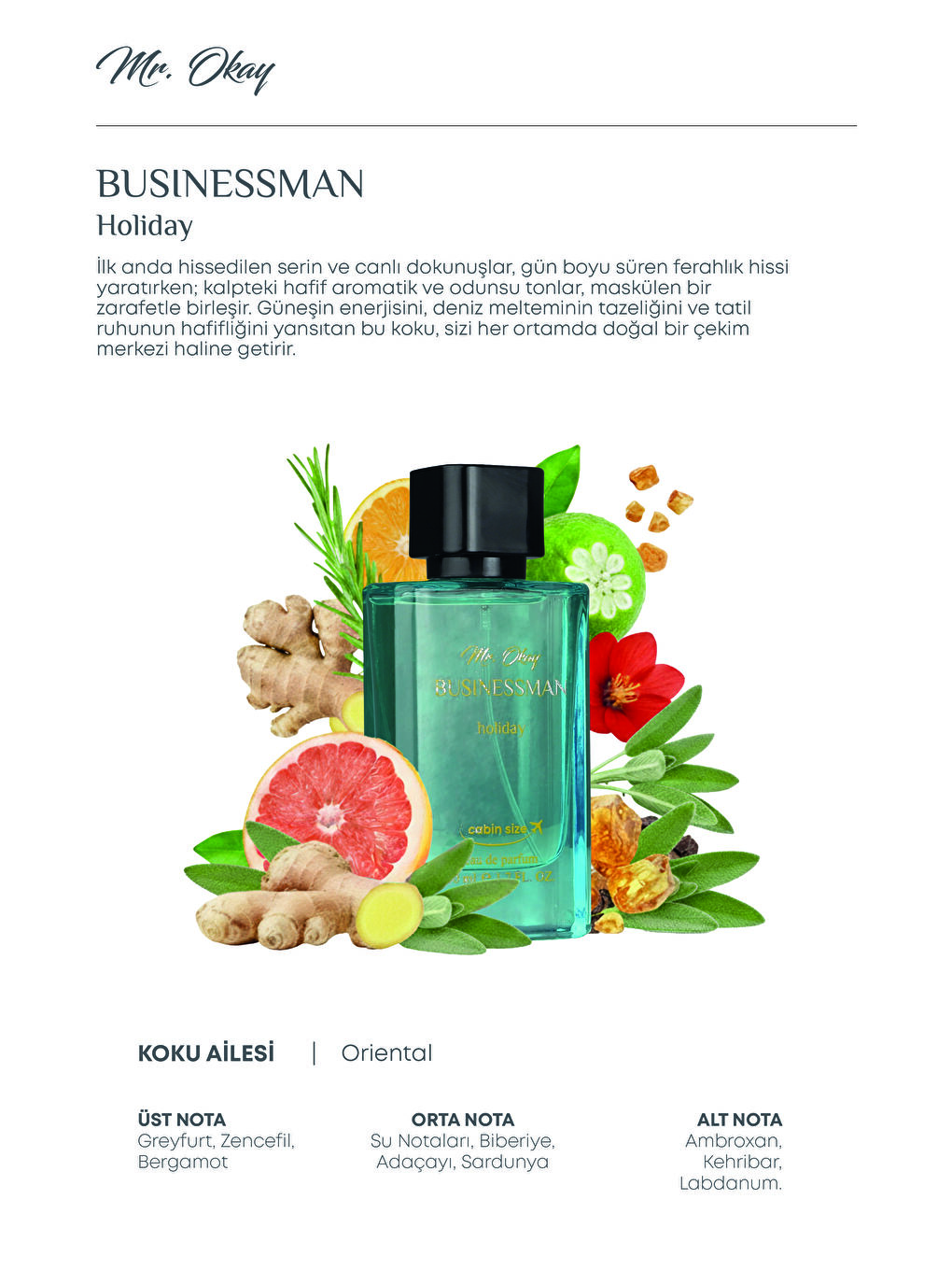 Mr. Okay Businessman Holiday 50 ML-1