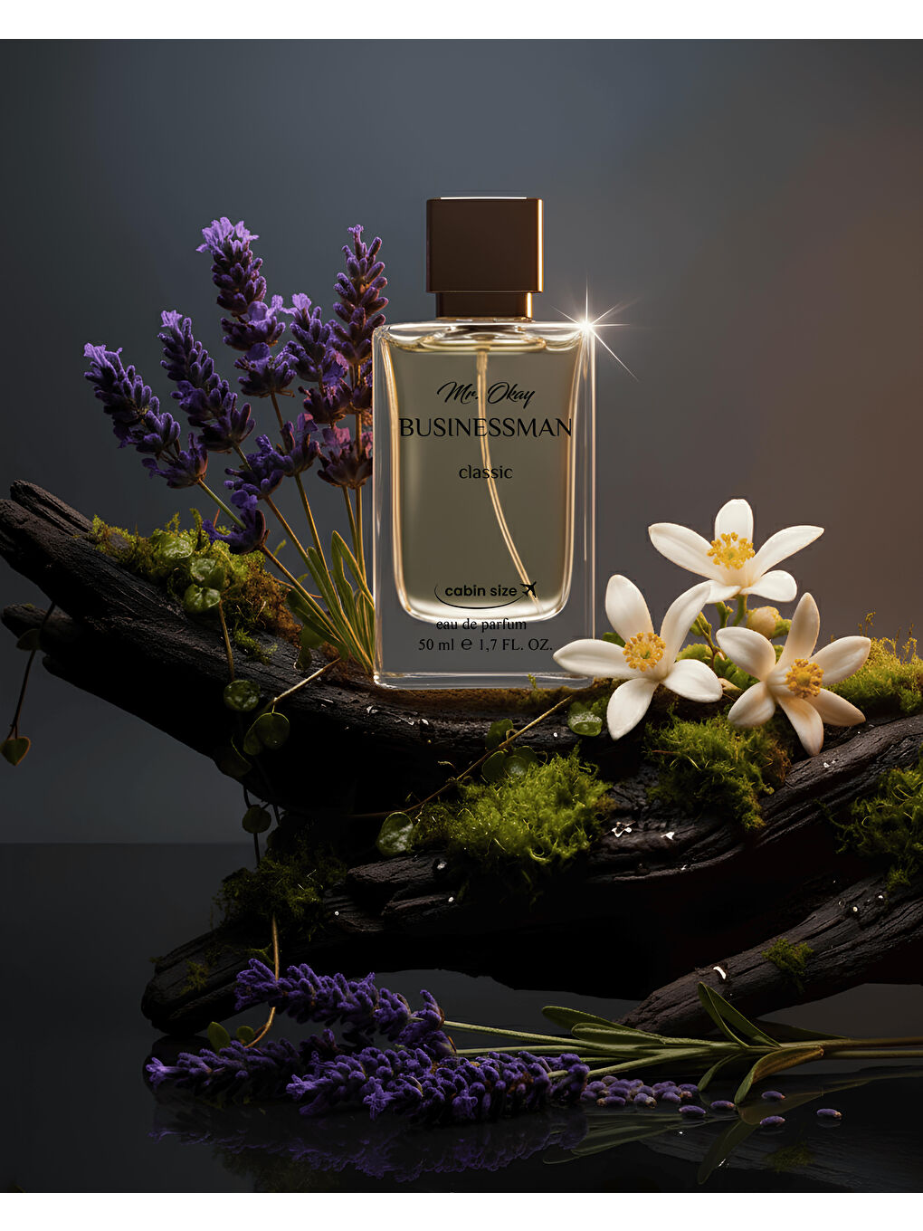 Mr. Okay Businessman Elegant 50 ML-3