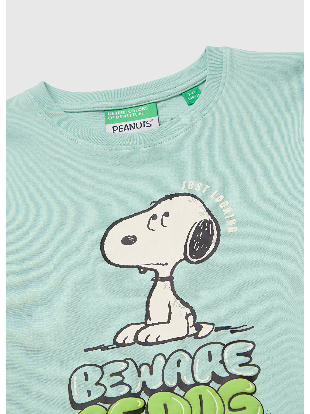 Erkek Bebek Açık Yeşil Önü Snoopy Baskılı Uzun Kollu Tişört-2