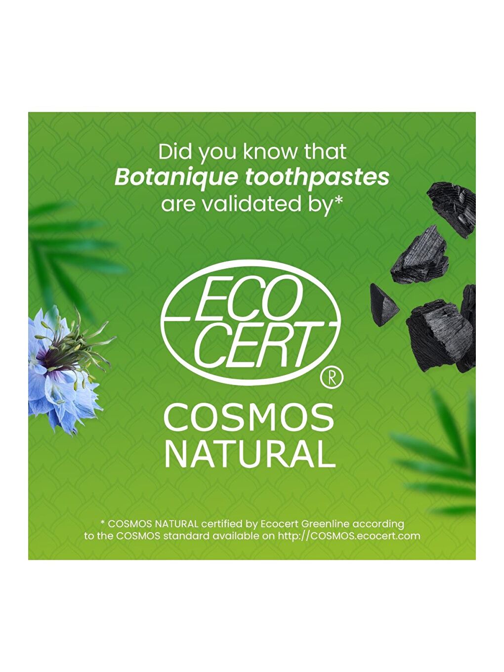 Botanique Beyazlatıcı Plak Karşıtı Organik Diş Macunu 75ml 2'li Paket | Ecocert Cosmos Sertifikalı-3
