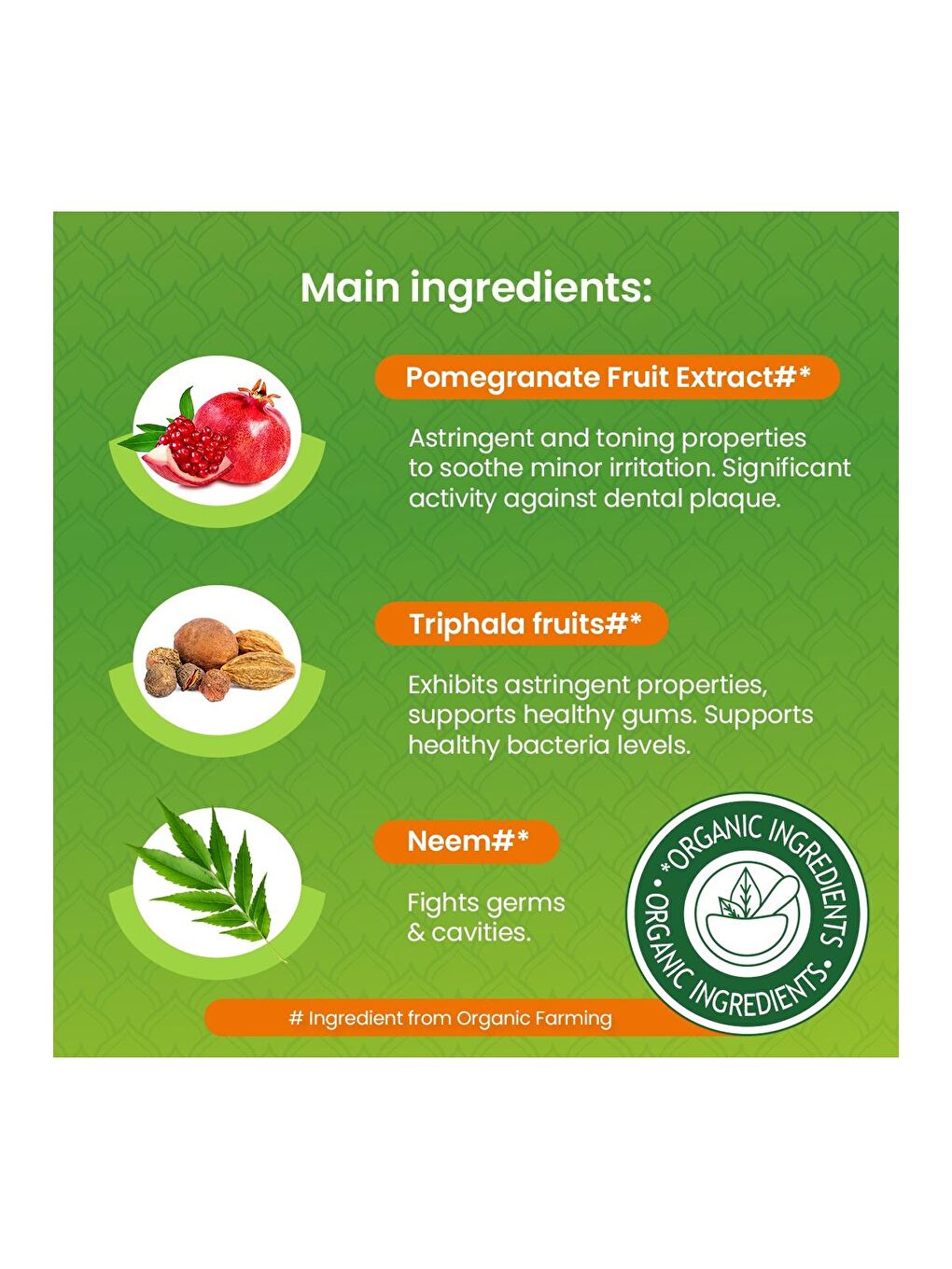 Botanique Doğal Neem & Nar Özlü Florürsüz Organik Diş Macunu 75 ml 2'li Paket | Ecocert Cosmos-4