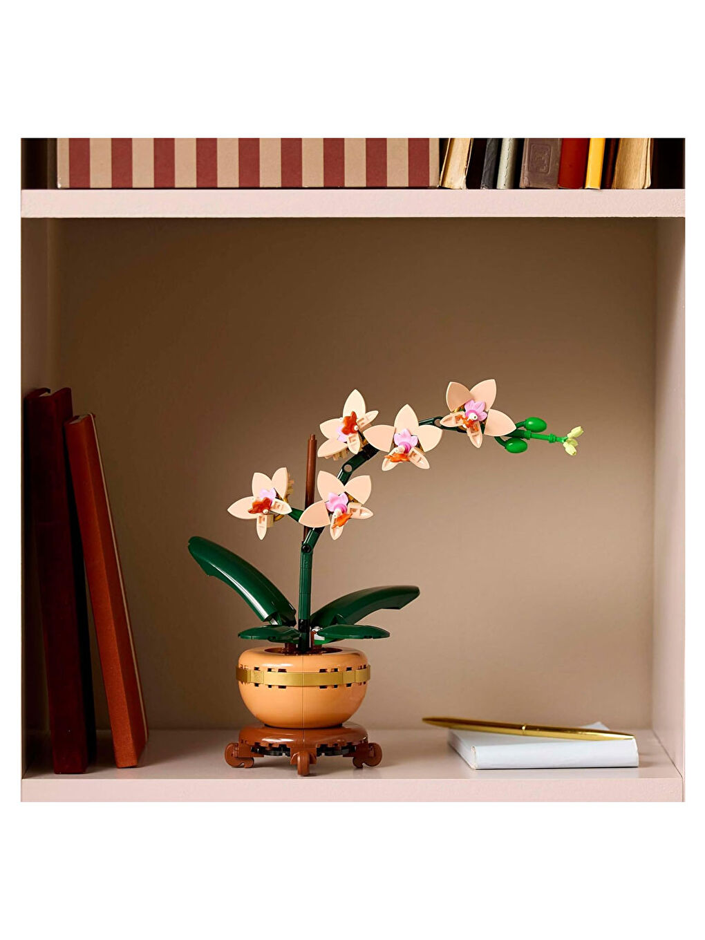 Botanicals Mini Orkide 10343-2