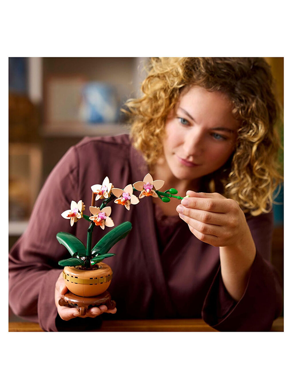 Botanicals Mini Orkide 10343-5