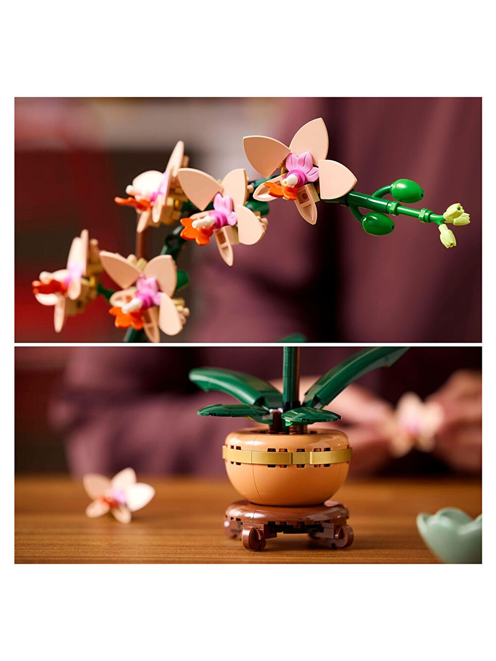 Botanicals Mini Orkide 10343-7