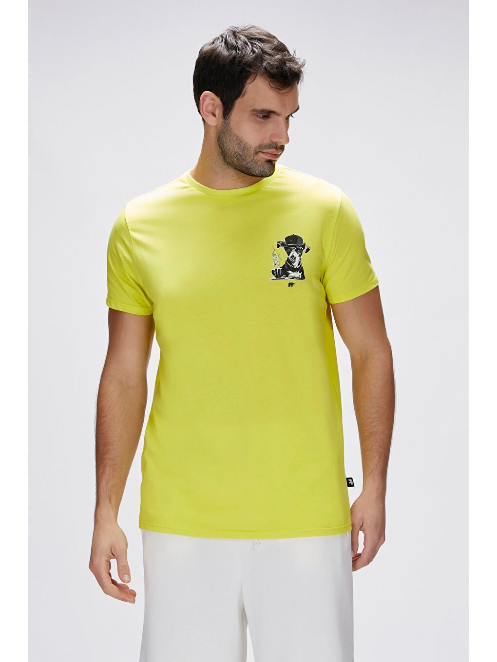 Duggie Yeşil Erkek Baskılı Tişört-1