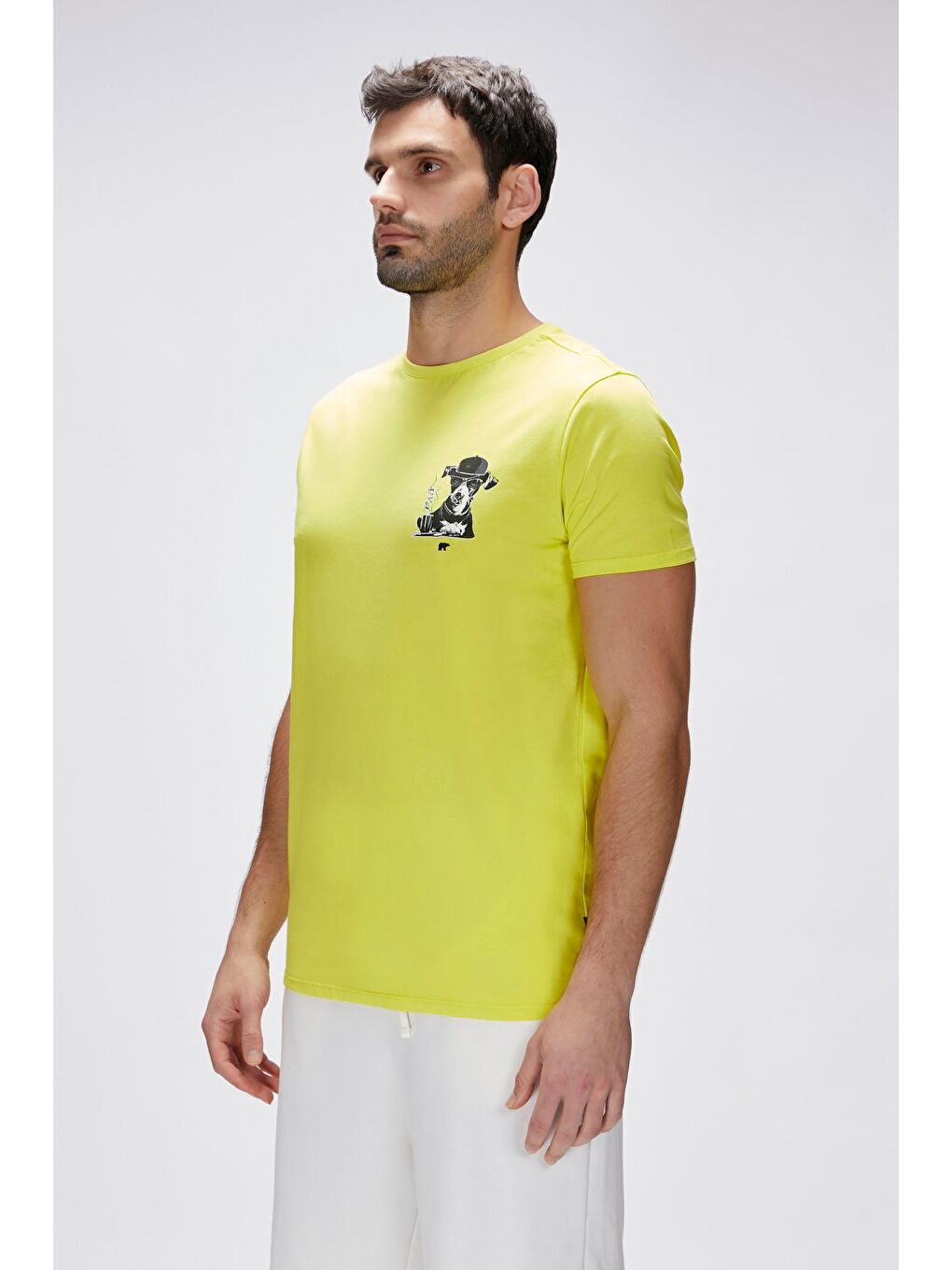 Duggie Yeşil Erkek Baskılı Tişört-3