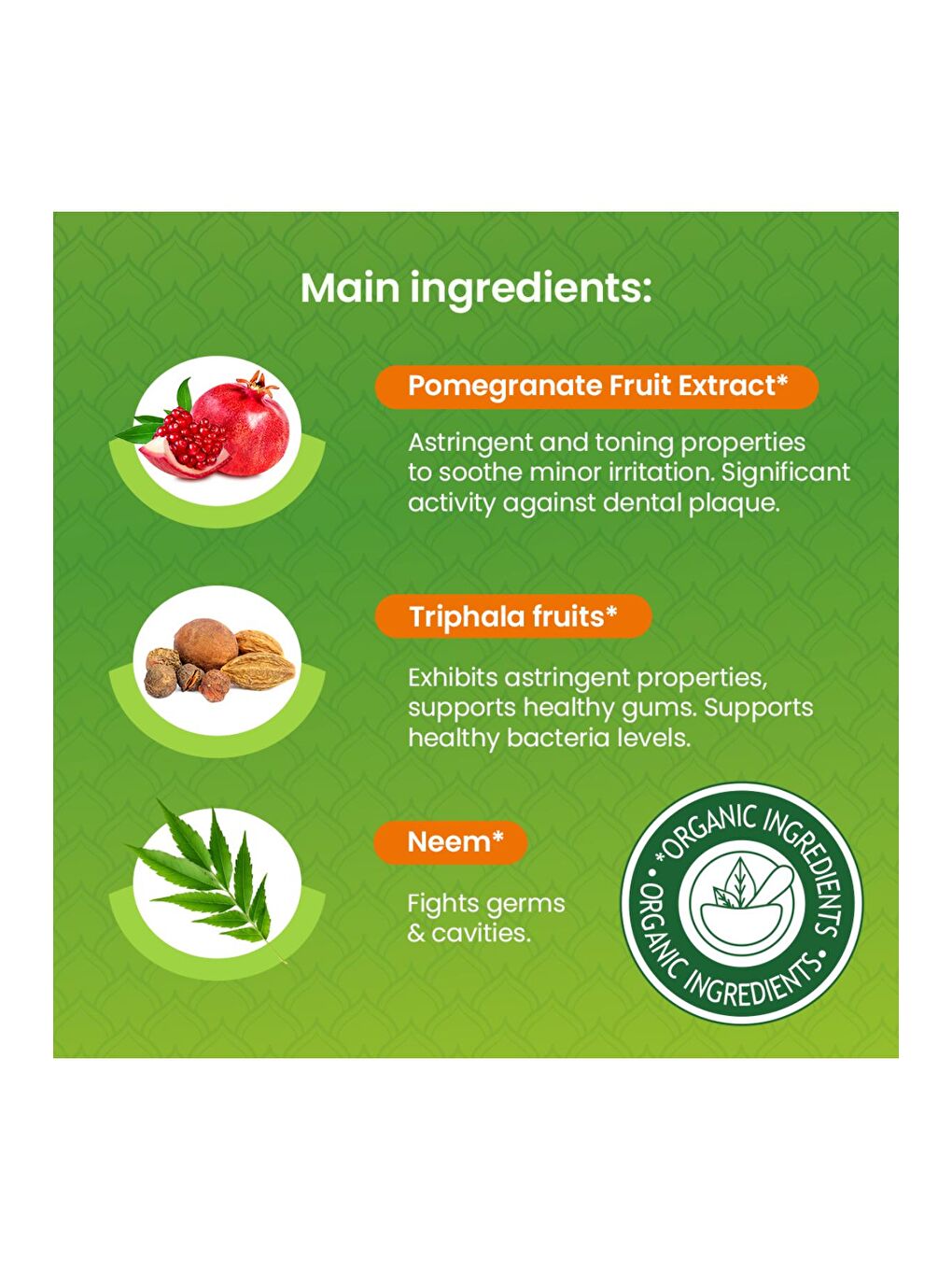 Botanique Plak Karşıtı Komple Bakım Organik Diş Macunu 75ml 2'li Paket | Ecocert Cosmos Sertifikalı-4