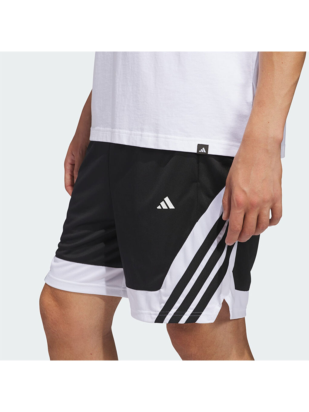 Pro Motion Erkek Siyah Şort-3