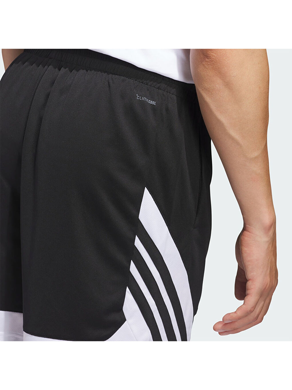 Pro Motion Erkek Siyah Şort-4