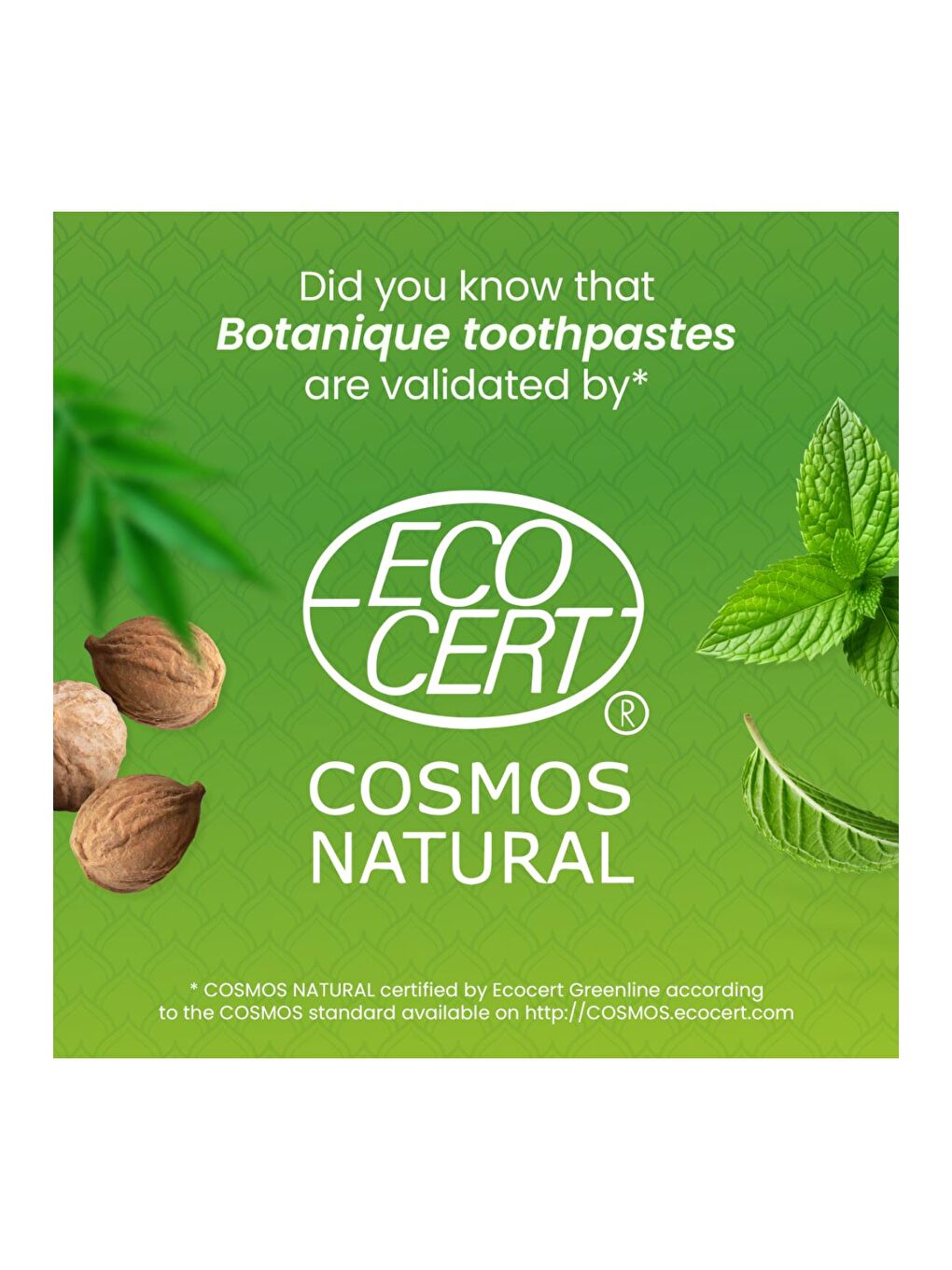 Beyazlatıcı Plak Karşıtı Diş Macunu 75ml | Ecocert Cosmos Sertifikalı | Organik Aktif, Kömür-4