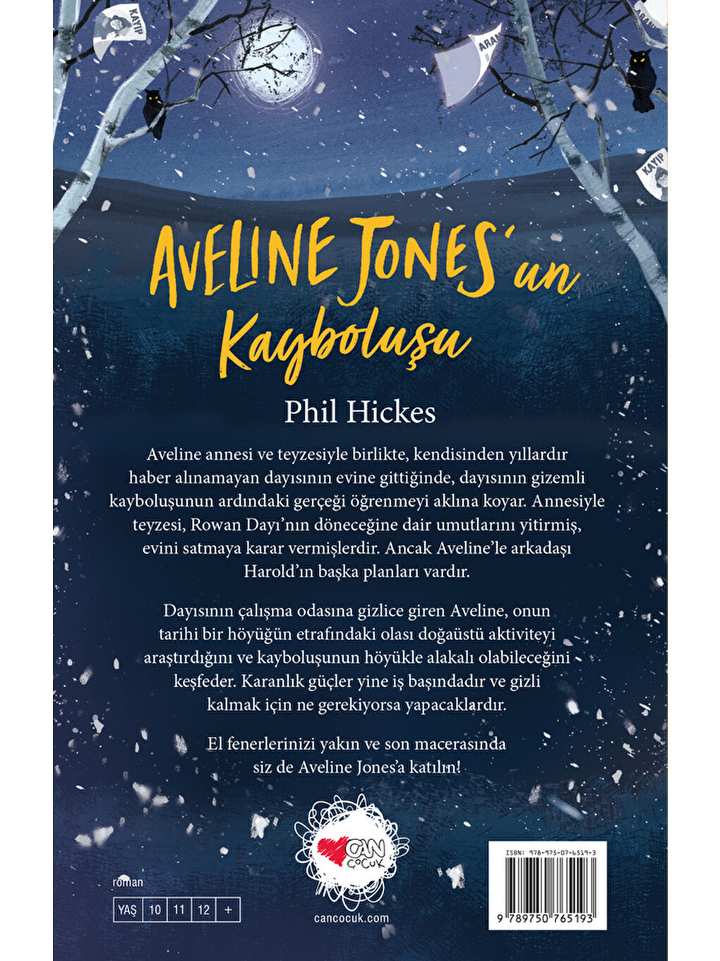 Aveline Jonesun Kayboluşu-2