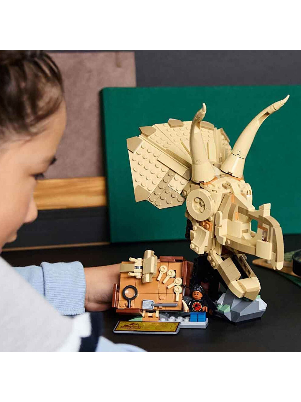 Jurassic World Dinozor Fosilleri Triceratops Kafatası 76969-4