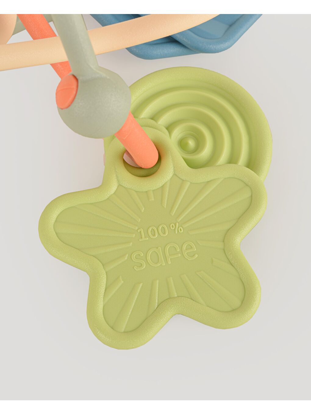 Kıvrımlı Çıngırak-2