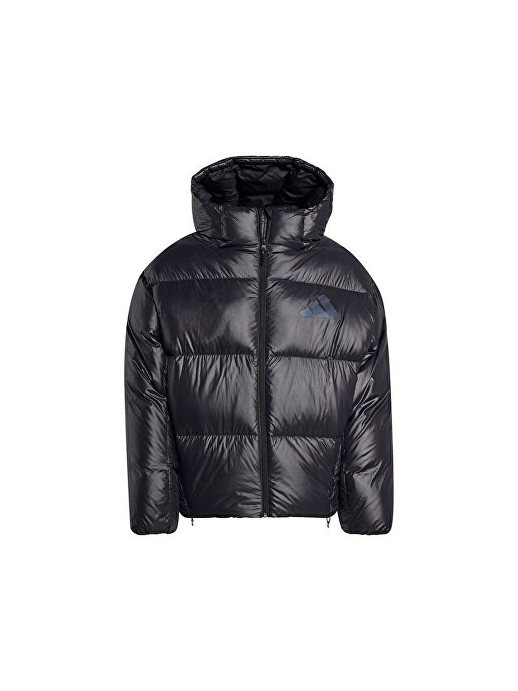 M Z.n.e. Puffer Erkek Günlük Mont Jl6905 Siyah-6
