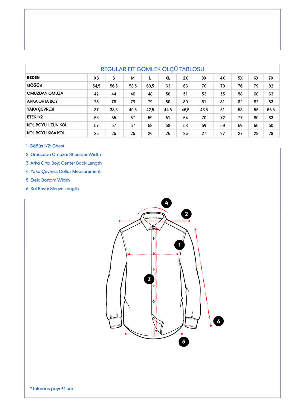 Mavi Uzun Kol Regular Fit Klasik Yaka Cepli Desenli Pamuk Gömlek-7