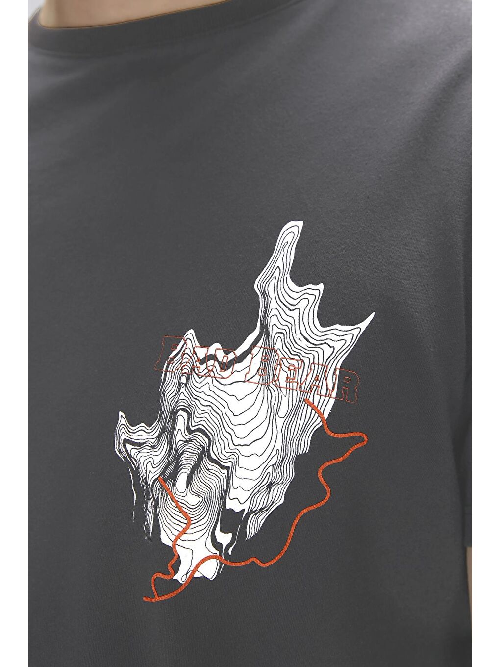 Gri Gerald Antrasit Erkek Baskılı Tişört-1