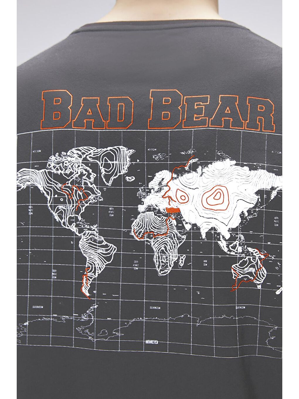 Gri Gerald Antrasit Erkek Baskılı Tişört-3