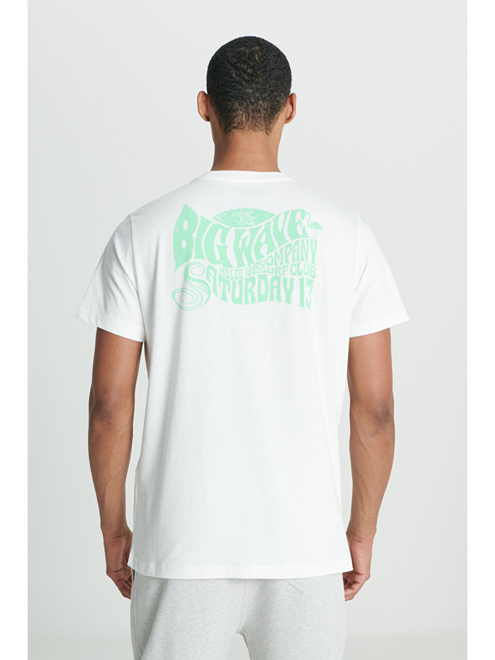 Regular Fit Normal Kesim %100 Pamuk Bisiklet Yaka Kırık Beyaz Tişört-1