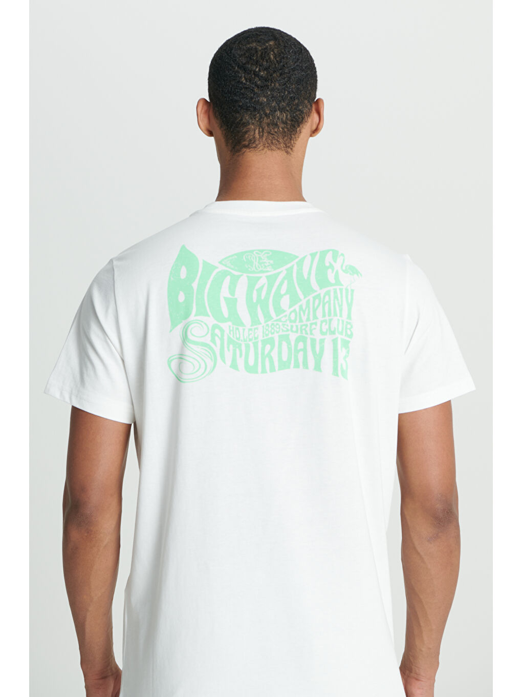 Regular Fit Normal Kesim %100 Pamuk Bisiklet Yaka Kırık Beyaz Tişört-6