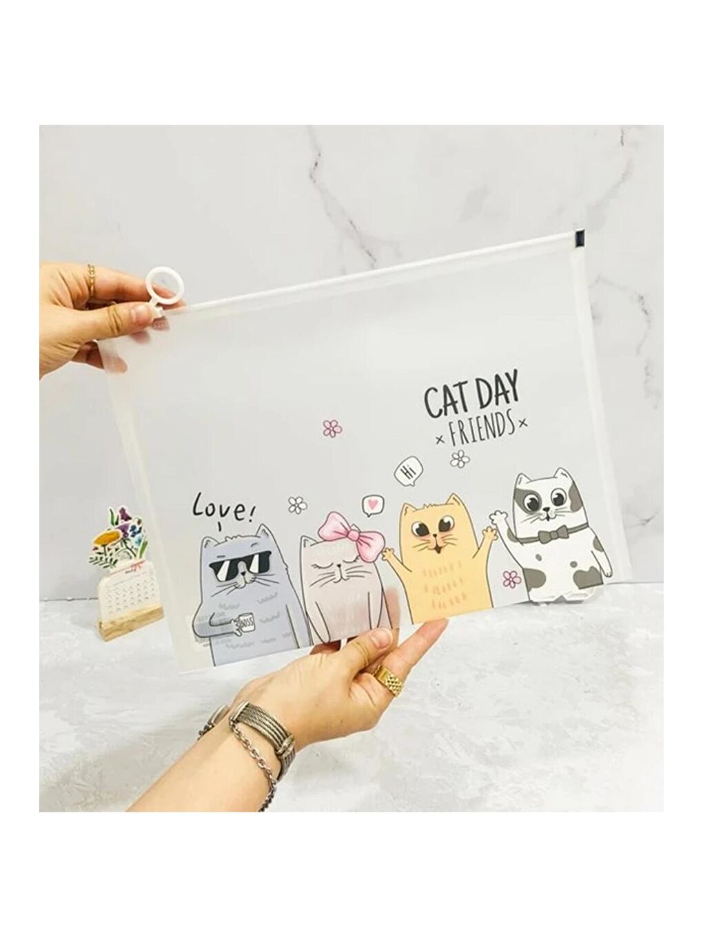 Day Friends Kedi Desenli A4 Şeffaf Dosya-1