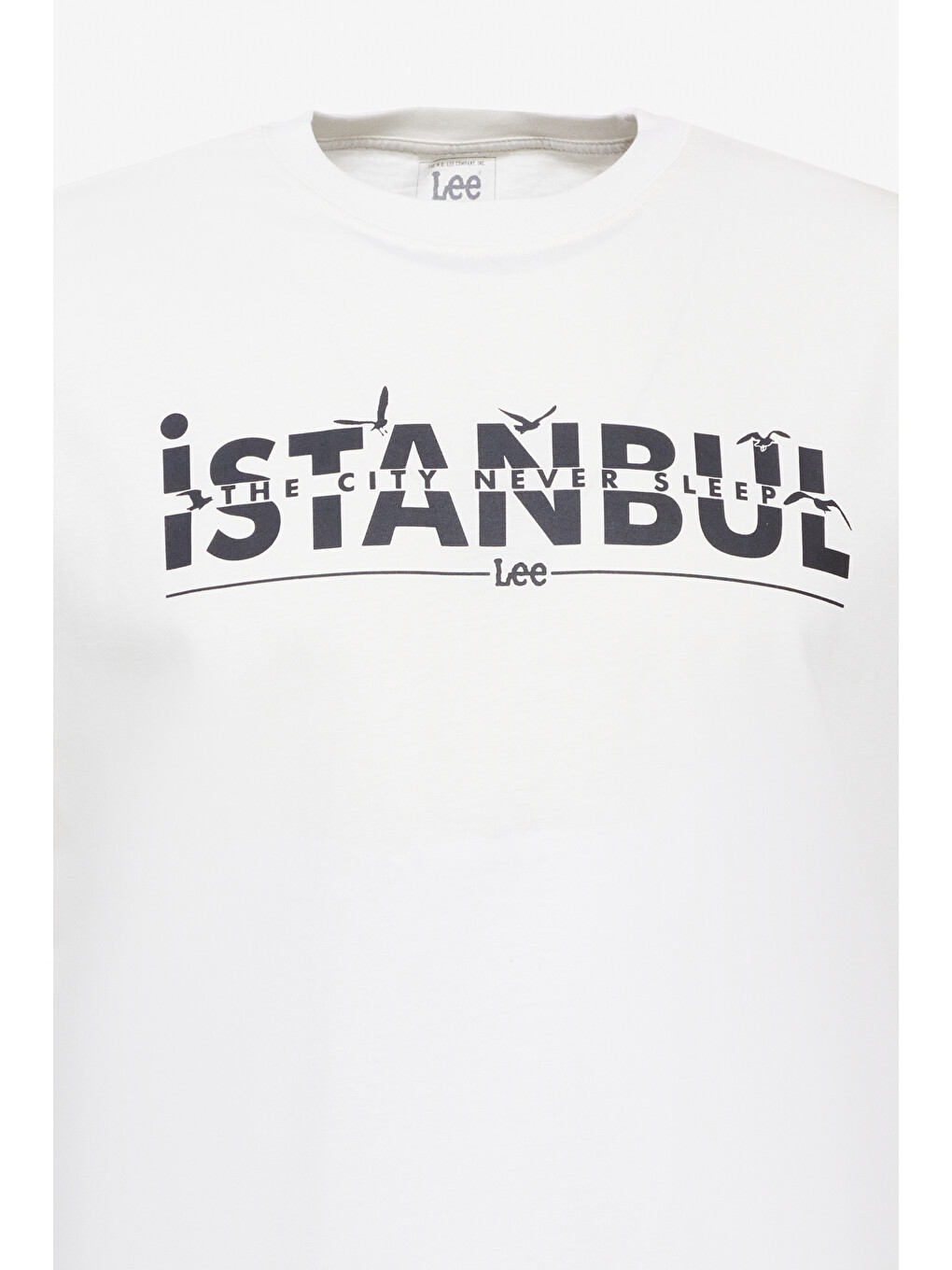 Regular Fit Normal Kesim Bisiklet Yaka %100 Pamuk Beyaz Tişört-6