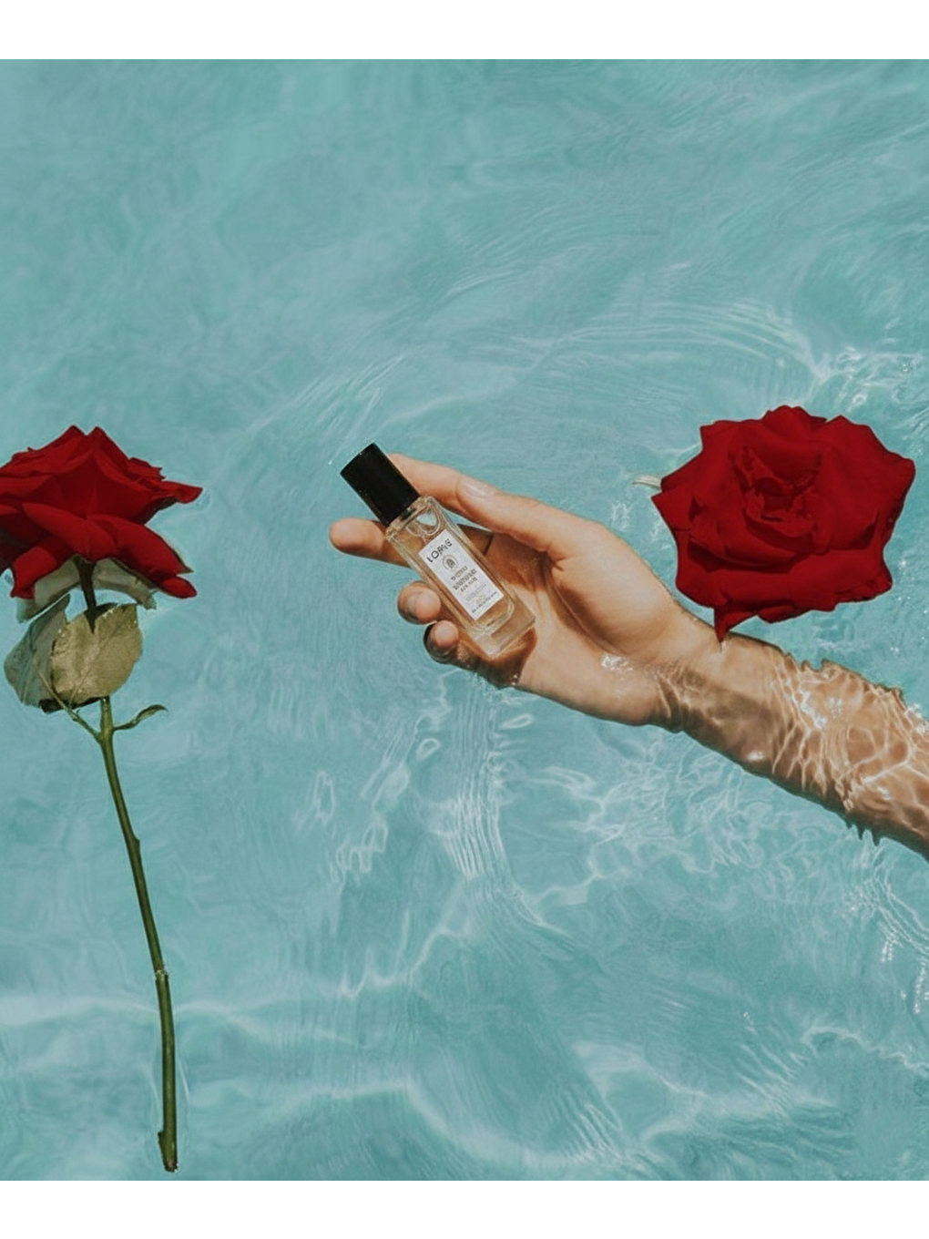 Crimson Reverie 8 ML Kadın Parfüm Yağı-7