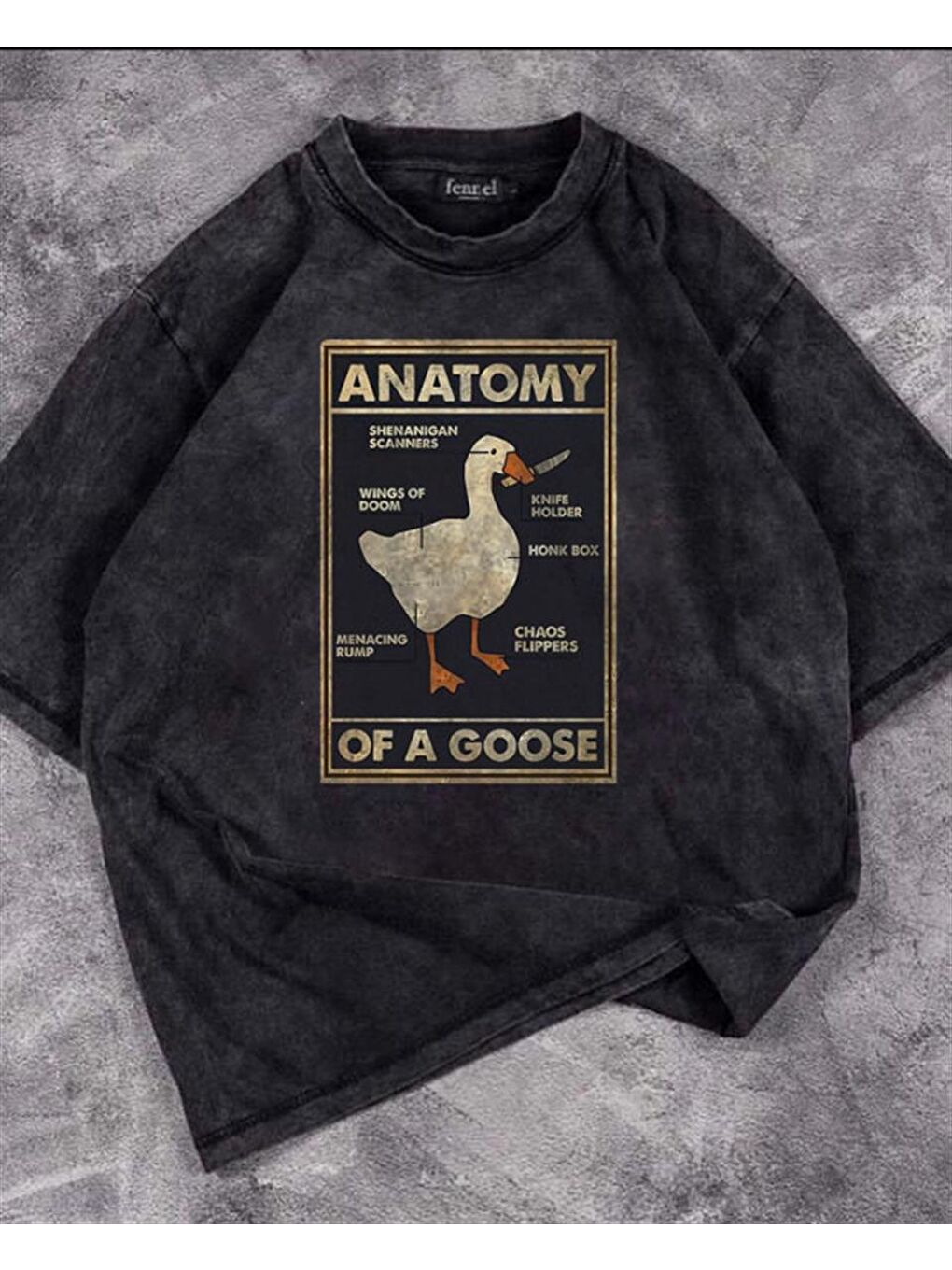 Touz Moda Antrasit Duck Anatomy Unisex Eskitme T-shirt