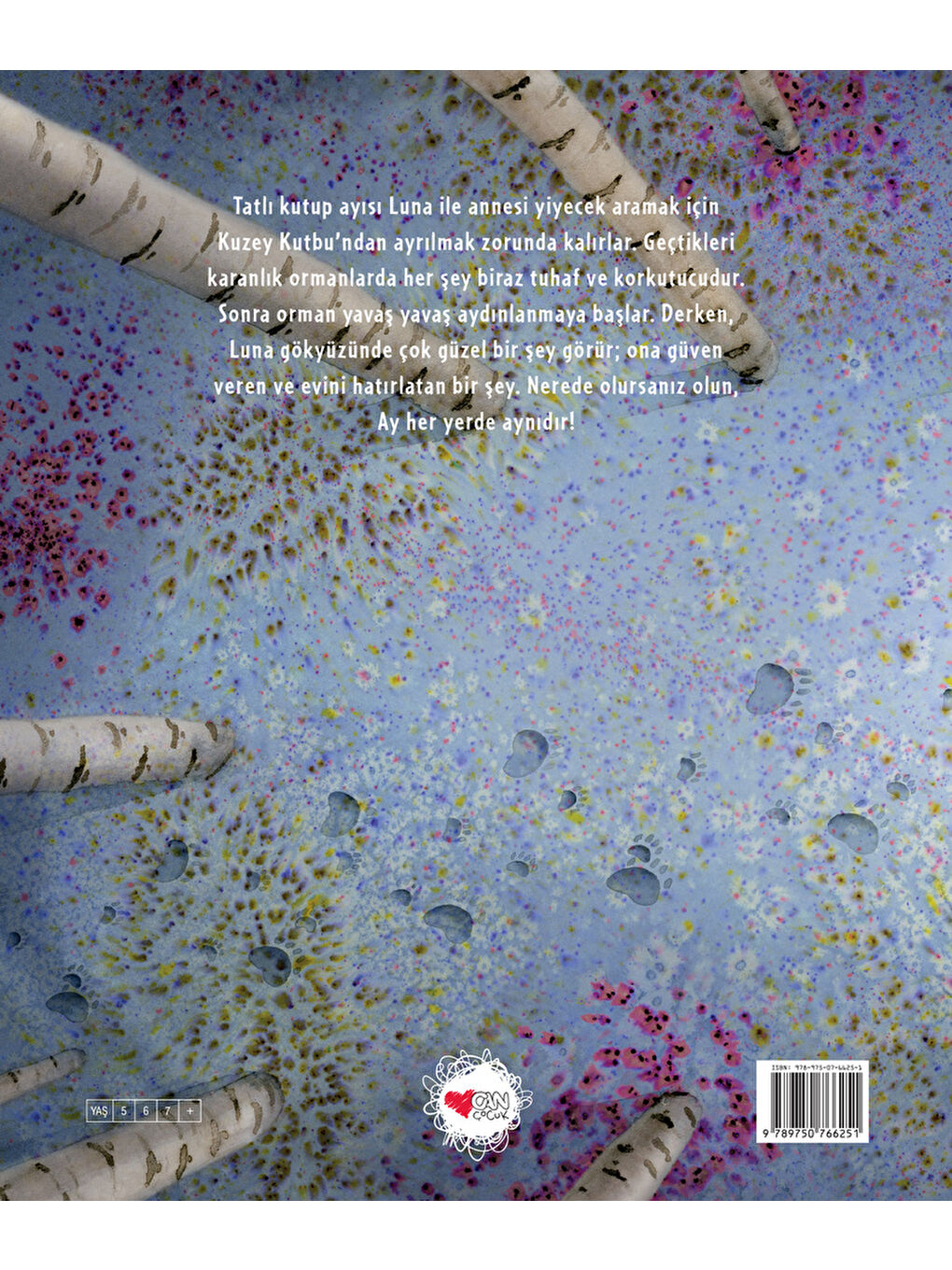 Ay Her Yerde Aynıdır-2