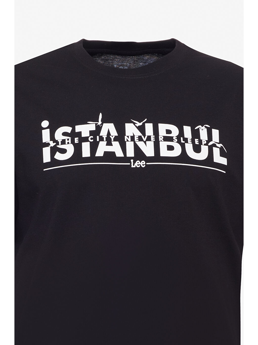 Regular Fit Normal Kesim Bisiklet Yaka %100 Pamuk Siyah Tişört-6