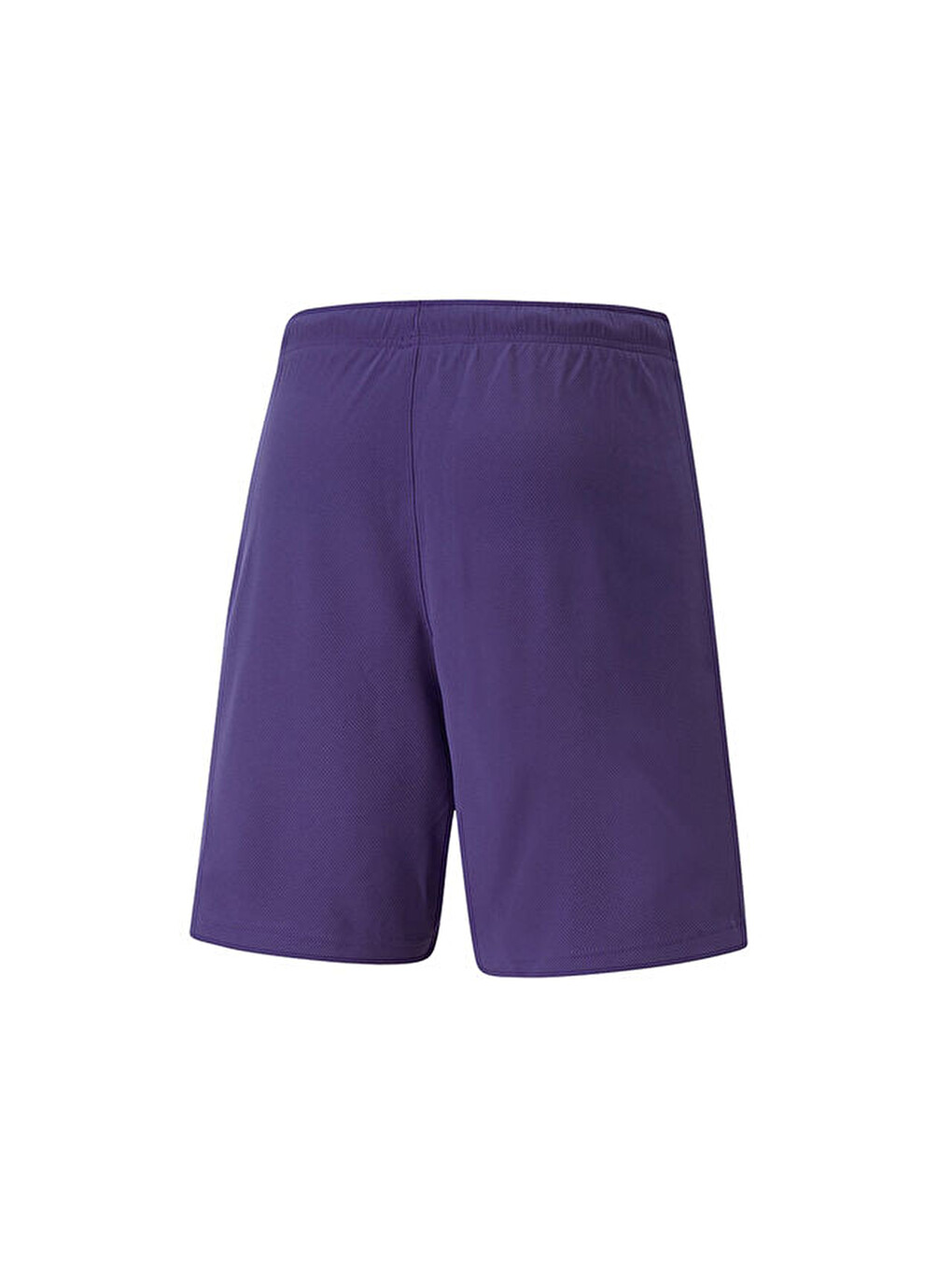 Teamrise Short Erkek Futbol Şortu 70494210 Mor-1