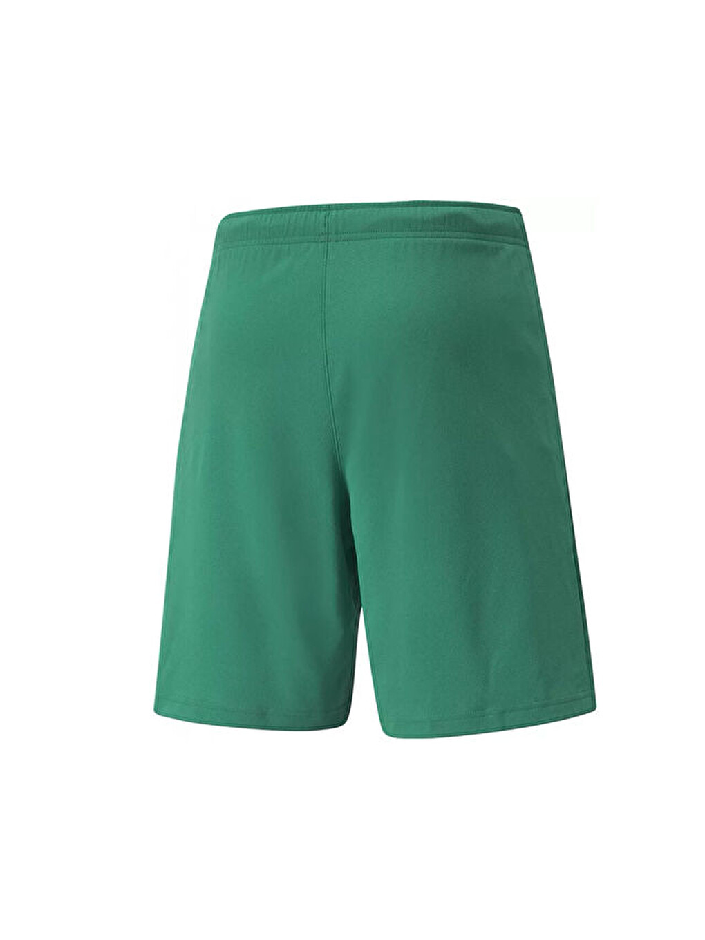 Teamrise Short Erkek Futbol Maç Şortu 70494205 Yeşil-1