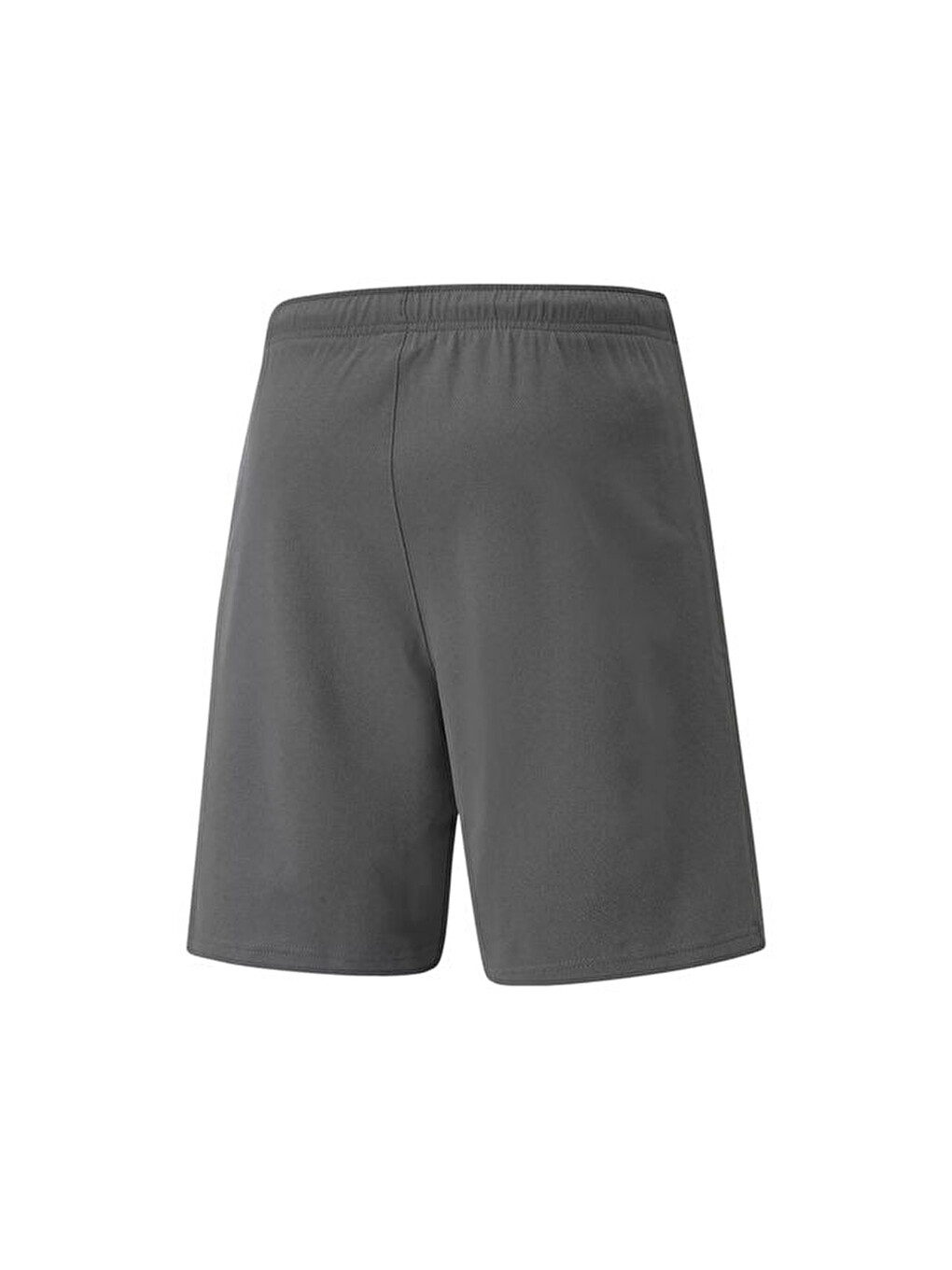 Teamrise Short Erkek Şortu 70494213 Gri-1