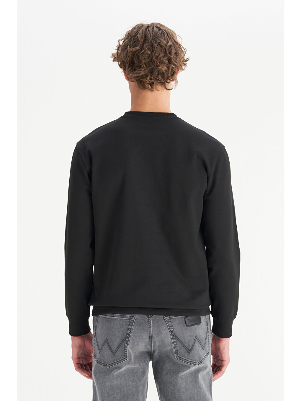 Siyah Pamuklu Regular Fit Bisiklet Yaka Sweatshirt-4