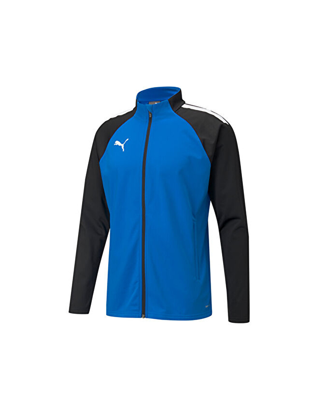 65723402 Teamlıga Traınıng Jacket Erkek Ceketi Mavi