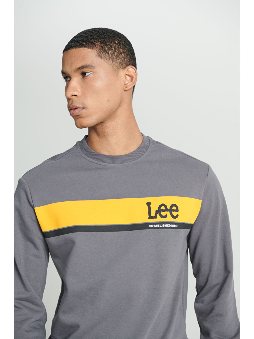 Regular Fit Normal Kesim Bisiklet Yaka Antrasit Sweatshirt-4