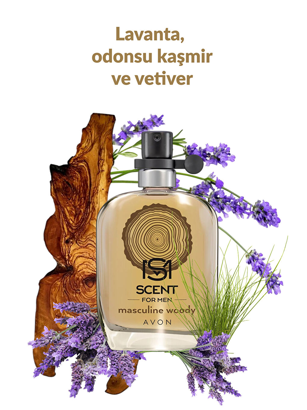 Scent Masculine Woody ve Green Fougere Erkek Parfüm Paketi-5