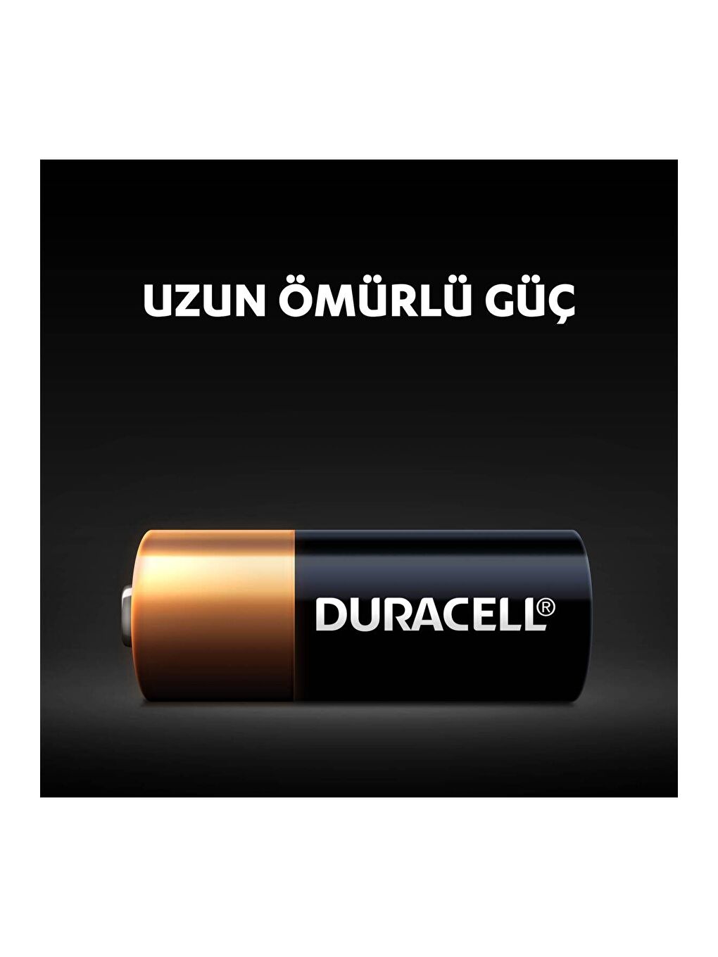 MN21 Alkalin Özel Pil 1 li Paket  12V-2