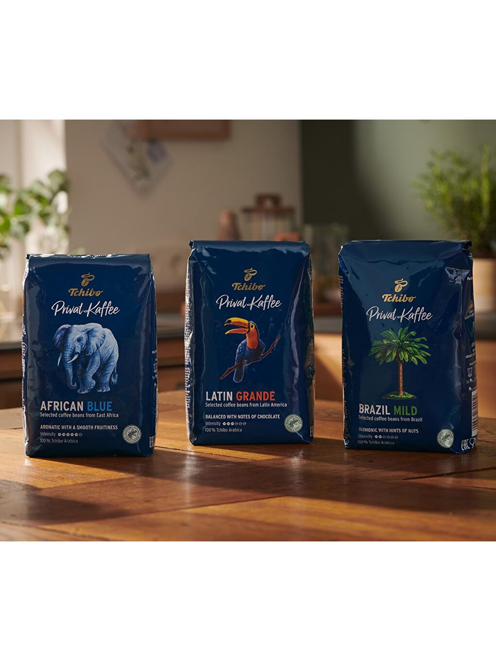 Privat Kaffee African Blue Çekirdek Kahve 500 g-1