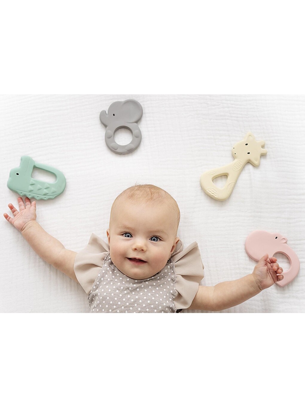 Organik Kauçuk Diş Kaşıyıcı-hippo-4