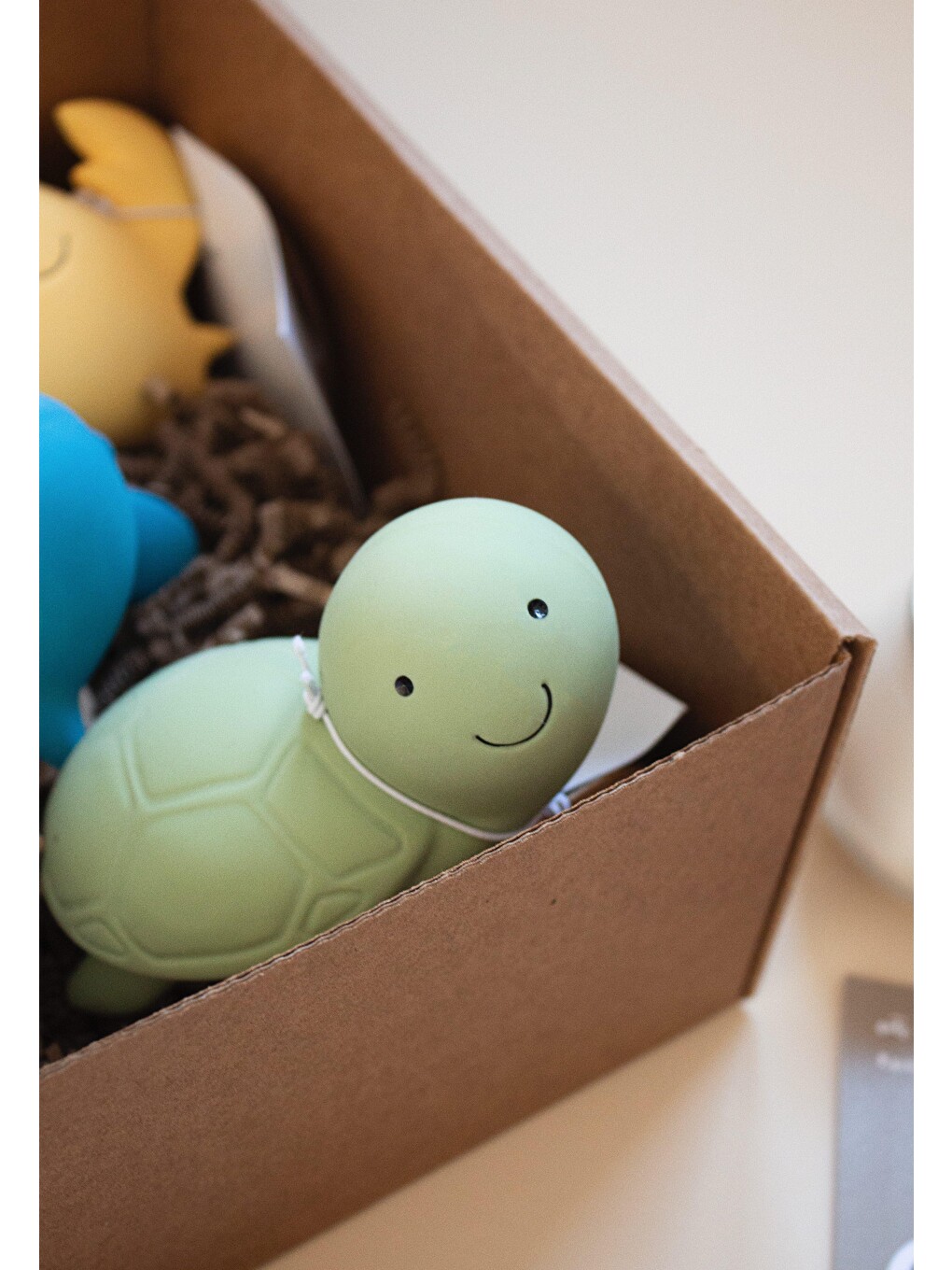 Diş Kaşıyıcı Ve Banyo Oyuncağı- Turtle-8