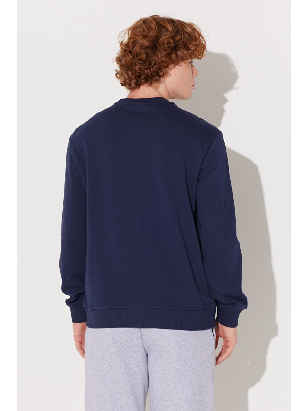 Regular Fit Normal Kesim Bisiklet Yaka Lacivert Sweatshirt-7