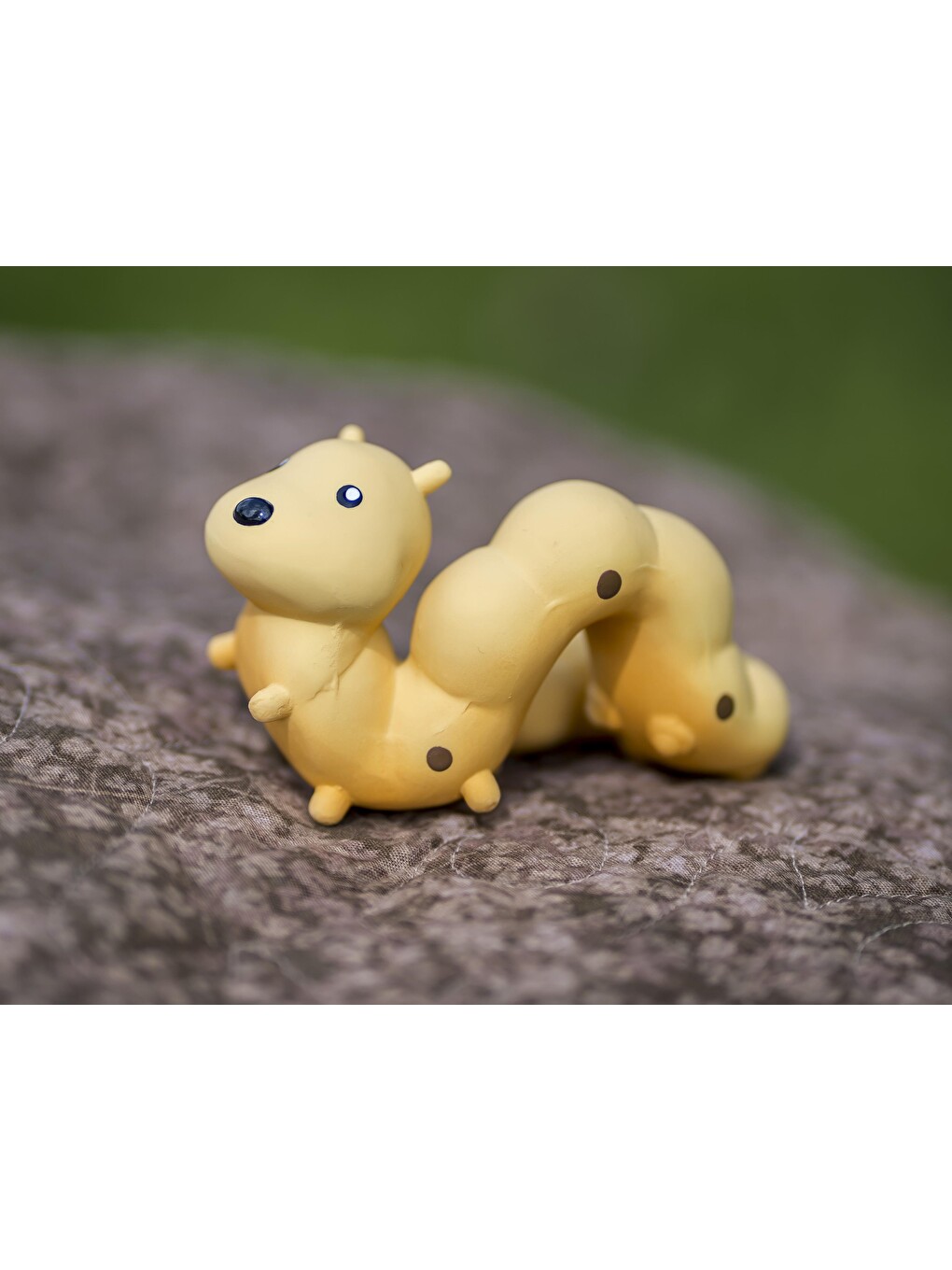 Diş Kaşıyıcı Ve Banyo Oyuncağı- Caterpillar-9
