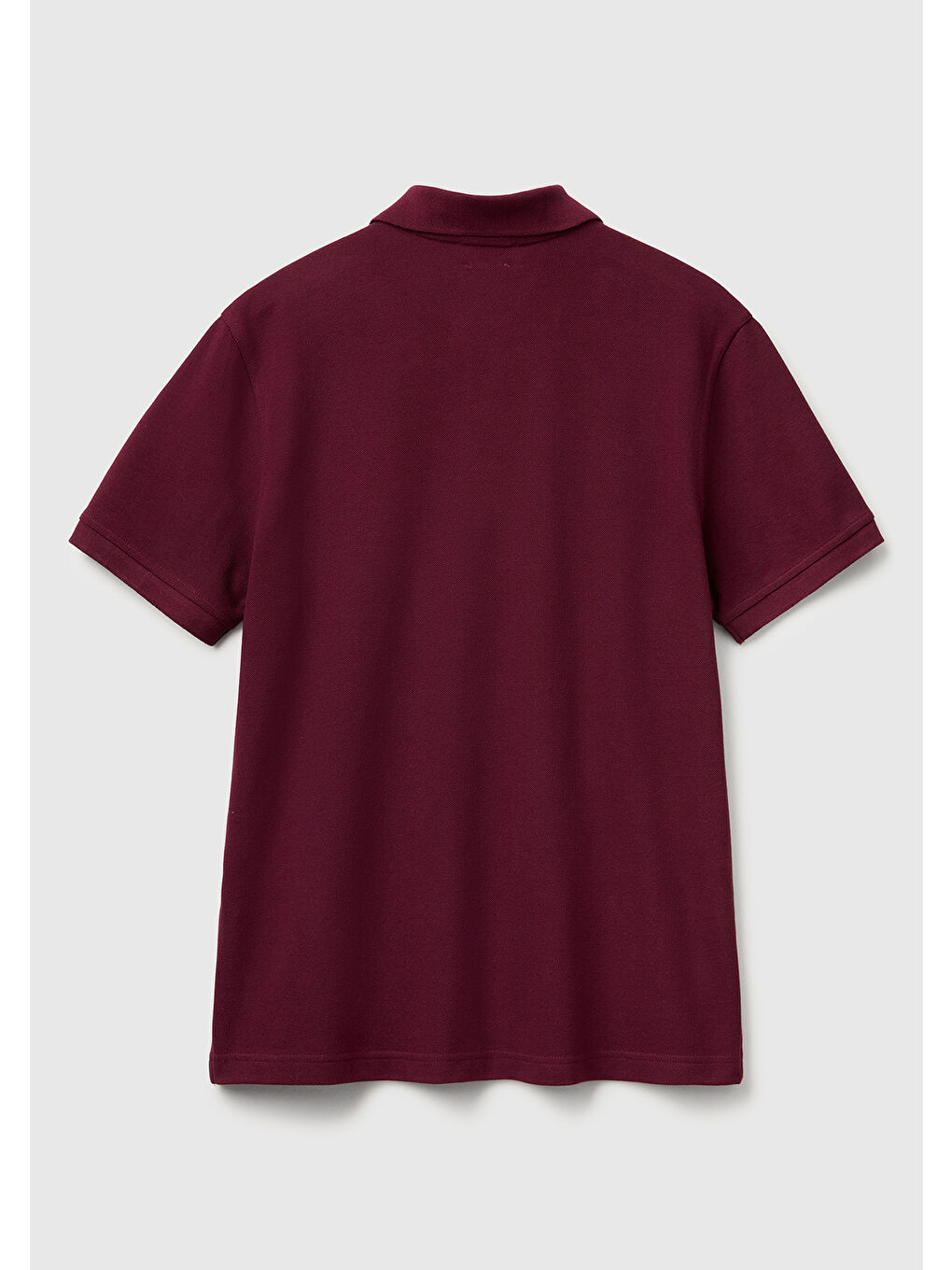 Erkek Mürdüm Regular Fit Kısa Kollu Polo T-Shirt-3