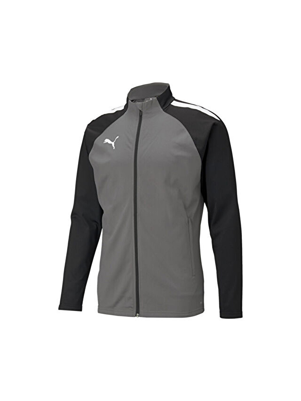 Teamliga Training Jacket Erkek Futbol Antrenman Ceketi 65723413 Gri
