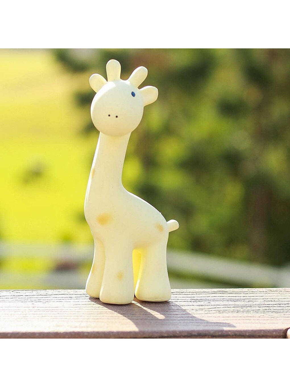 Diş Kaşıyıcı Ve Banyo Oyuncağı-giraffe-7