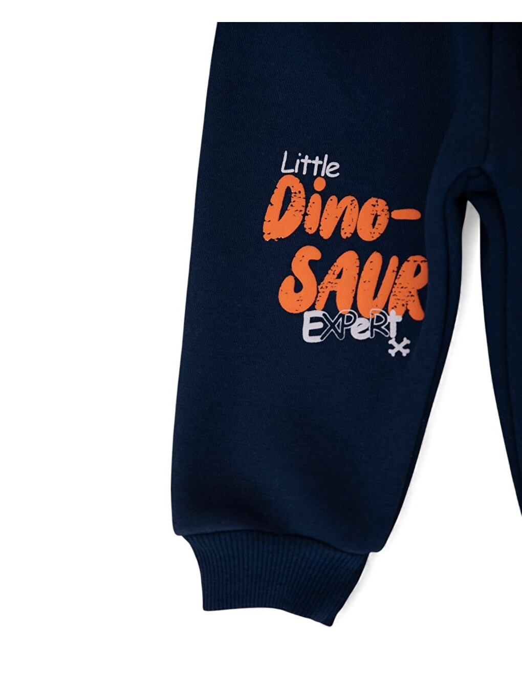 Gri Erkek Bebek Dinozor Baskılı Kışlık 3 İp Şardonlu Alt Üst Takım-5