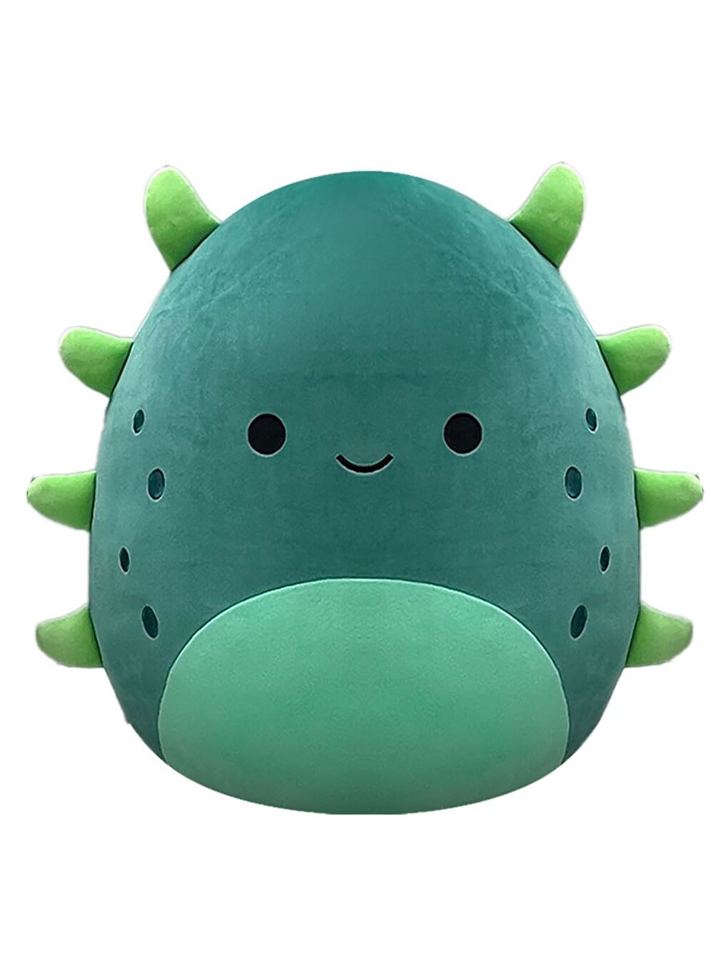 Deniz Hıyarı Wasabi 40cm CR07041